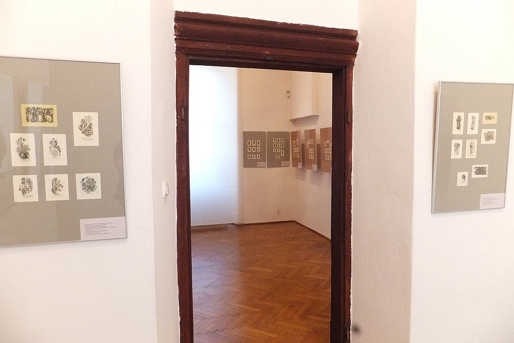 Historie zaklęte w miedziorytach Wojciecha Jakubowskiego
