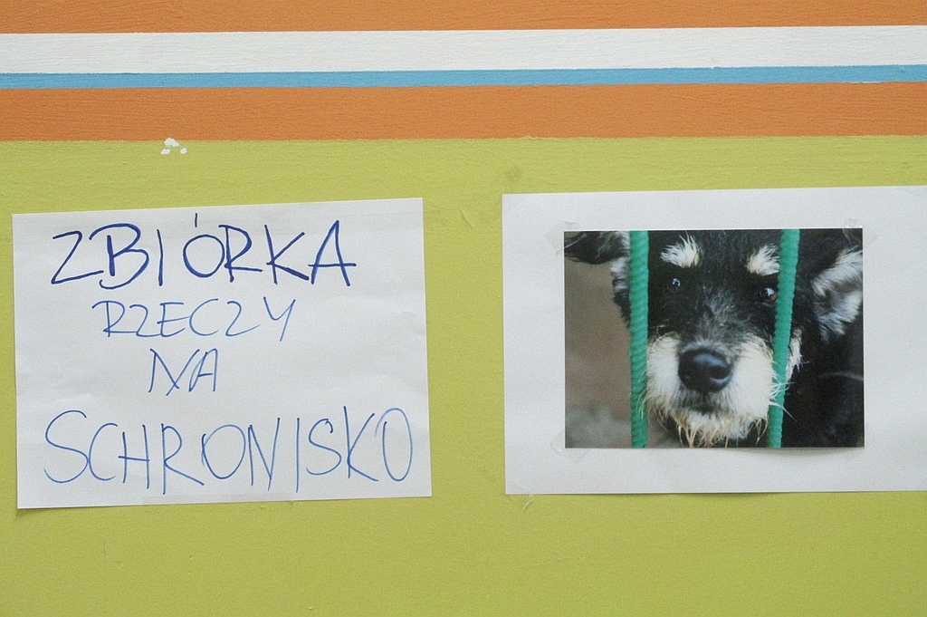 Ruszył Tydzień Zwierzaka w V Liceum Ogólnokształcącym