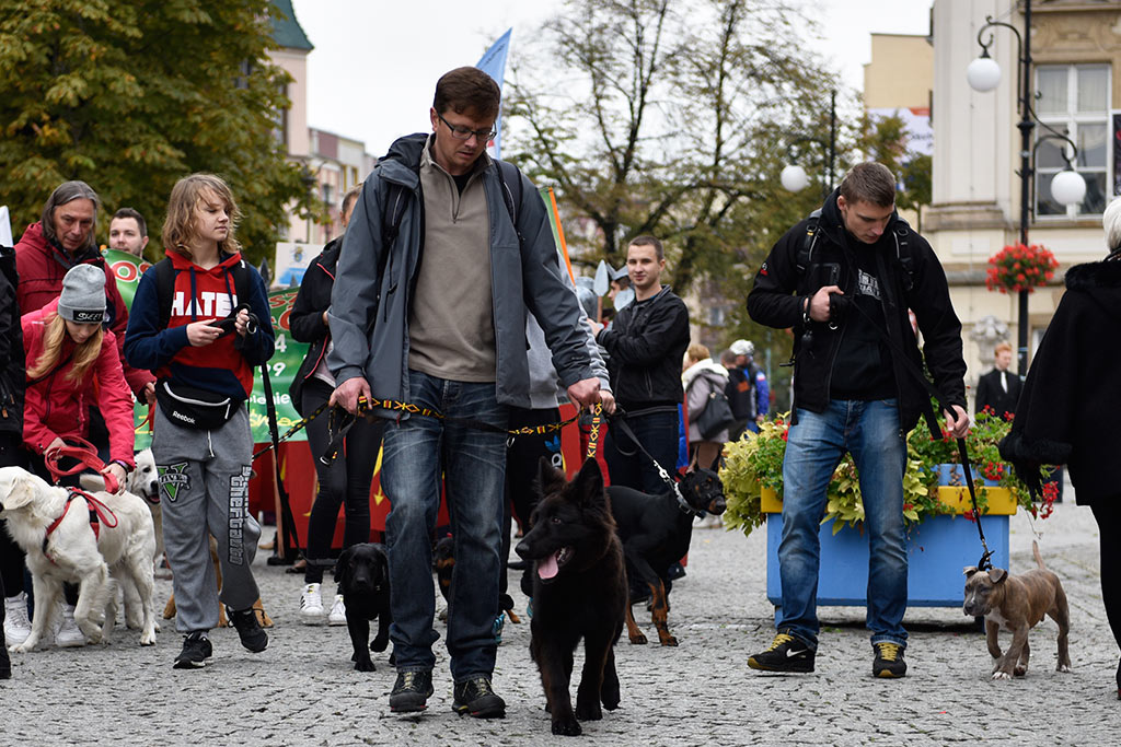 Legnickie organizacje pozarządowe świętowały w Galerii Piastów