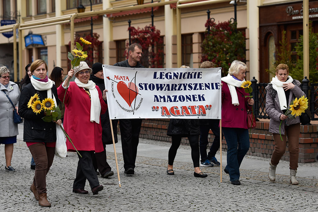 Legnickie organizacje pozarządowe świętowały w Galerii Piastów