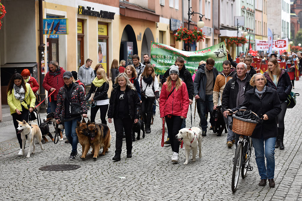 Legnickie organizacje pozarządowe świętowały w Galerii Piastów