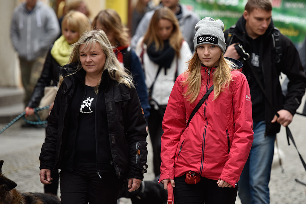 Legnickie organizacje pozarządowe świętowały w Galerii Piastów