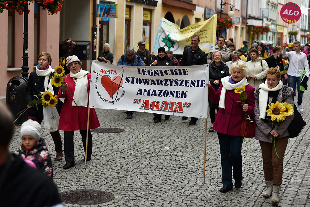 Legnickie organizacje pozarządowe świętowały w Galerii Piastów