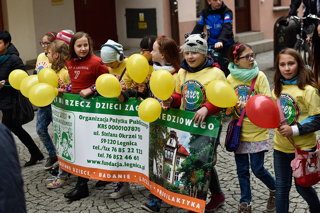 Legnickie organizacje pozarządowe świętowały w Galerii Piastów