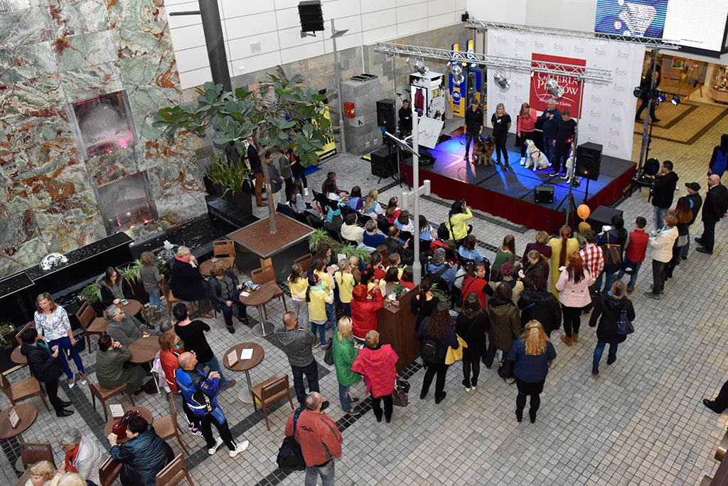 Legnickie organizacje pozarządowe świętowały w Galerii Piastów