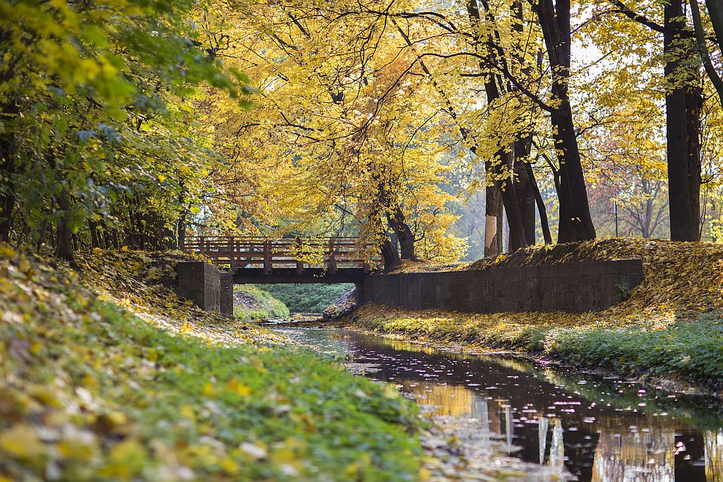 Jesienna Legnica wszystkich zachwyca. Zdjęcia legniczan. Część 3