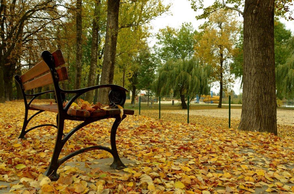 Jesienna Legnica wszystkich zachwyca. Zdjęcia legniczan. Część 3