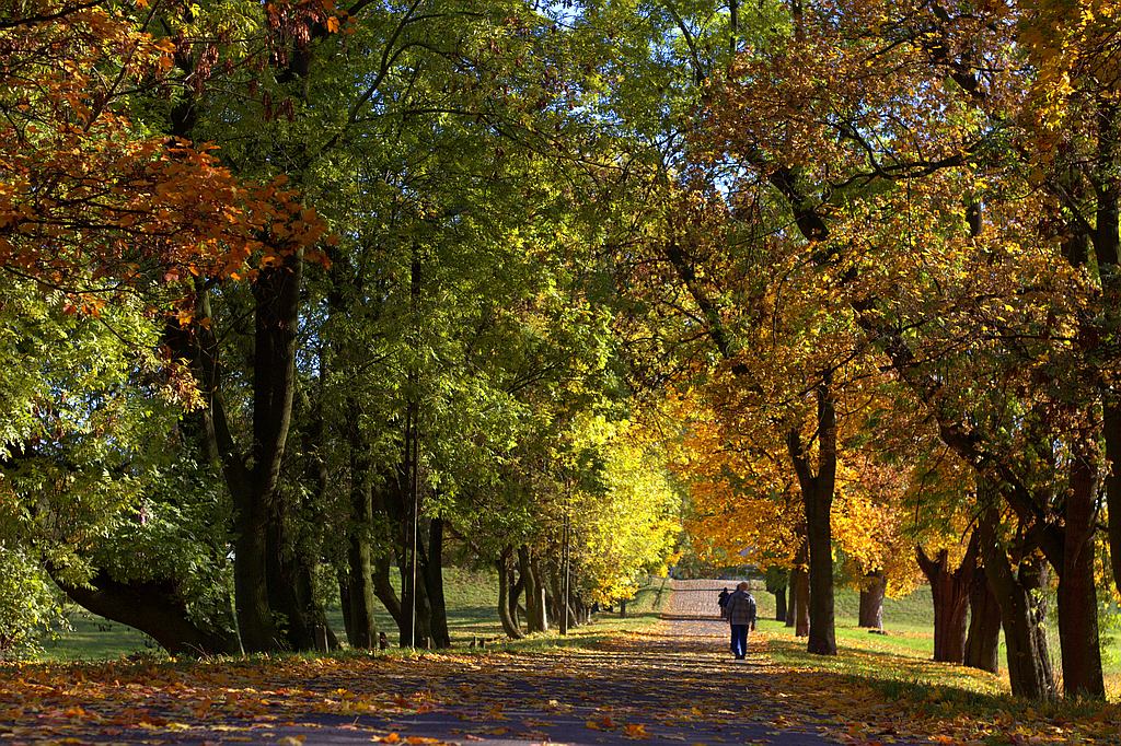 Jesienna Legnica wszystkich zachwyca. Zdjęcia legniczan. Część 3