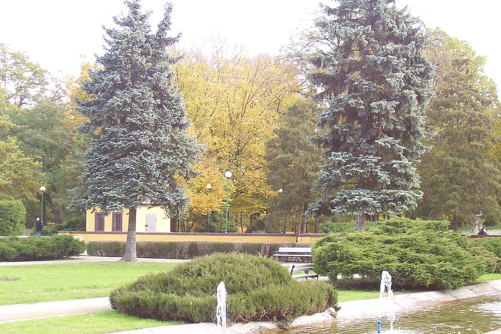 Jesienna Legnica wszystkich zachwyca. Zdjęcia legniczan. Część 3