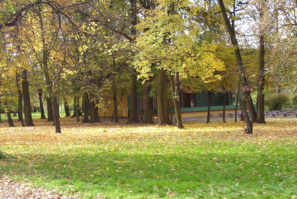 Jesienna Legnica wszystkich zachwyca. Zdjęcia legniczan. Część 3
