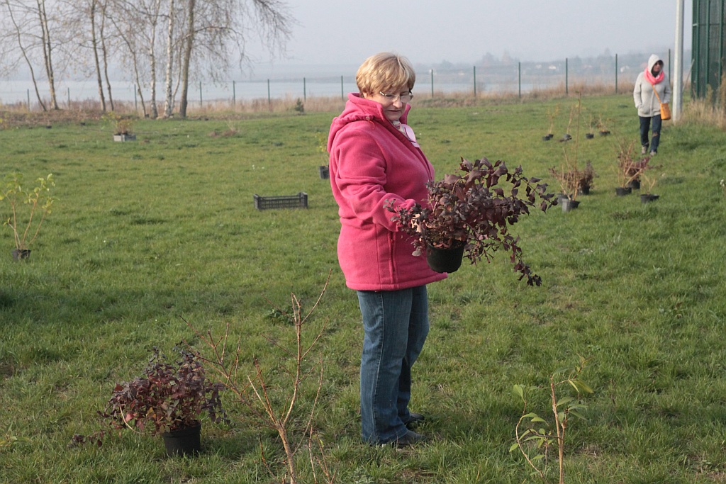Grzybiany i Ziemnice będą bardziej zadrzewione i zielone