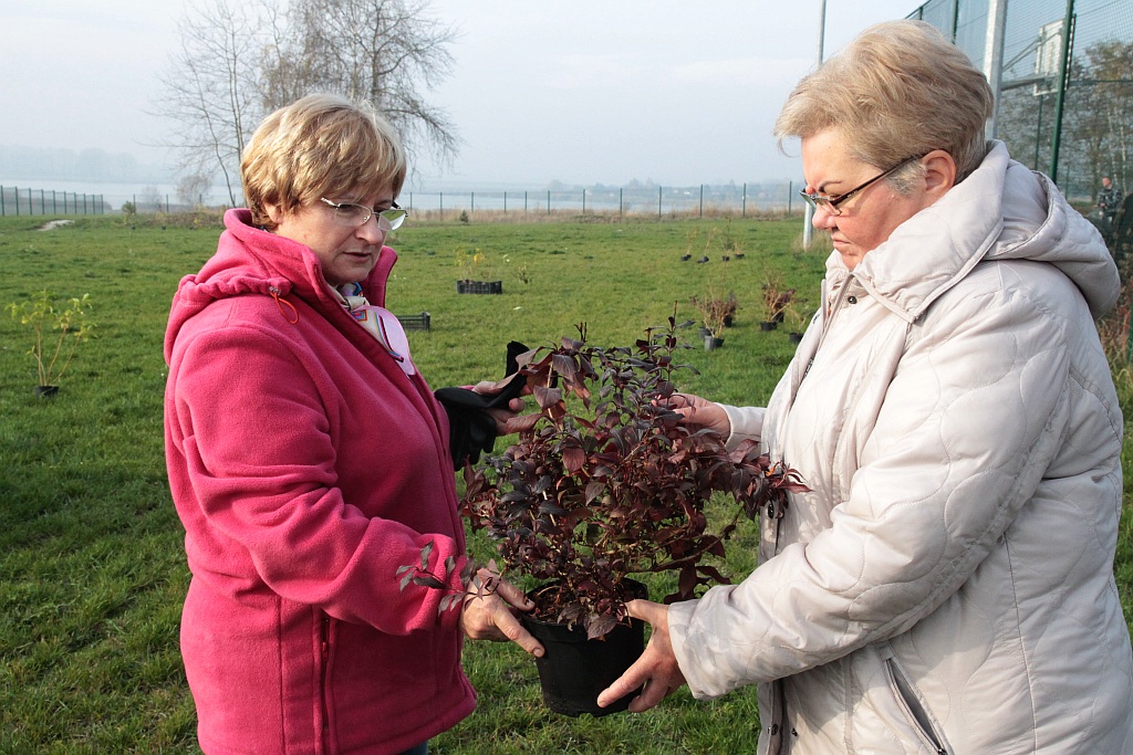 Grzybiany i Ziemnice będą bardziej zadrzewione i zielone