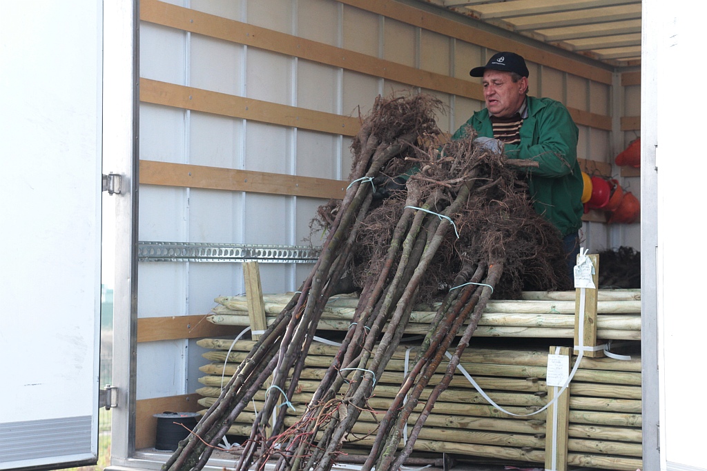 Grzybiany i Ziemnice będą bardziej zadrzewione i zielone
