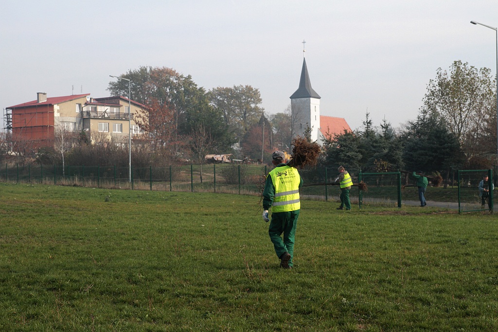 Grzybiany i Ziemnice będą bardziej zadrzewione i zielone