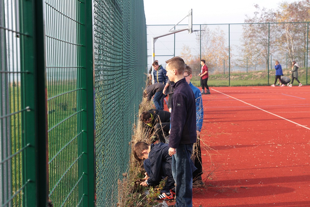 Grzybiany i Ziemnice będą bardziej zadrzewione i zielone