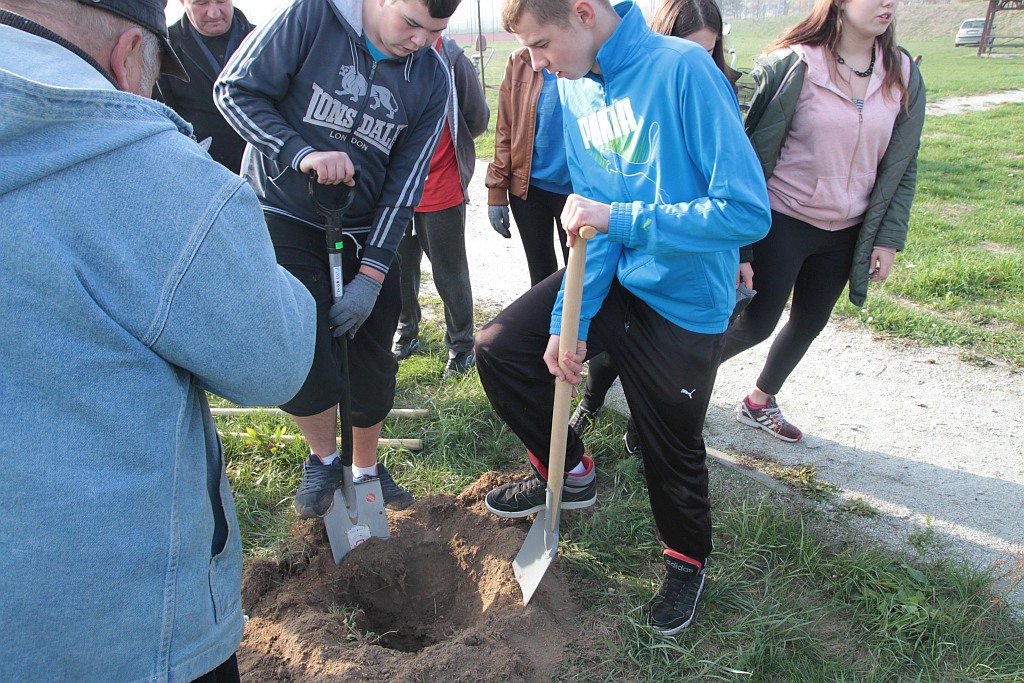 Grzybiany i Ziemnice będą bardziej zadrzewione i zielone
