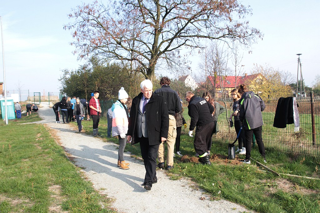 Grzybiany i Ziemnice będą bardziej zadrzewione i zielone