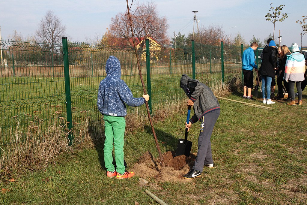 Grzybiany i Ziemnice będą bardziej zadrzewione i zielone