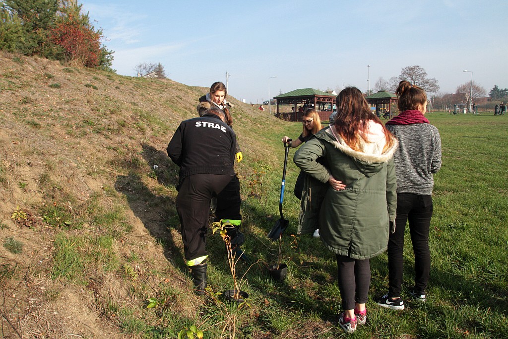 Grzybiany i Ziemnice będą bardziej zadrzewione i zielone