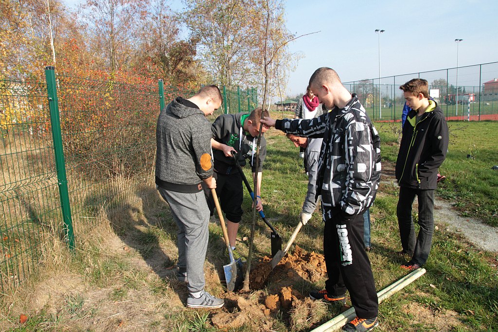 Grzybiany i Ziemnice będą bardziej zadrzewione i zielone