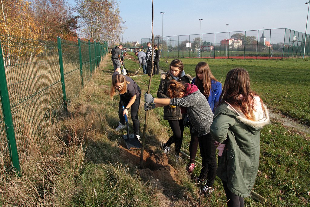 Grzybiany i Ziemnice będą bardziej zadrzewione i zielone