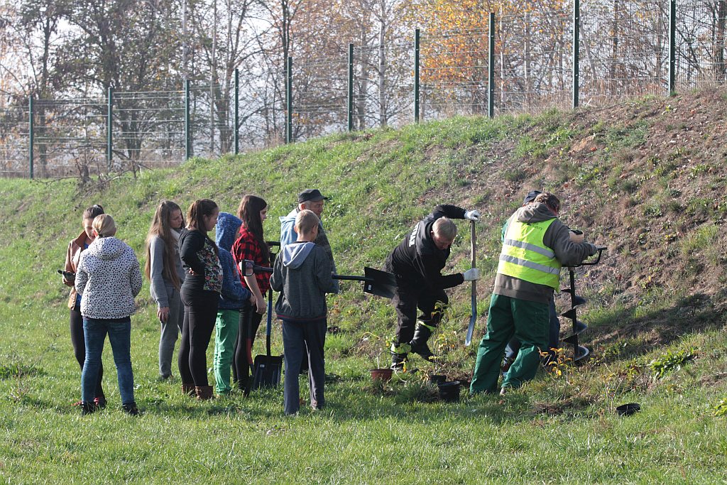 Grzybiany i Ziemnice będą bardziej zadrzewione i zielone
