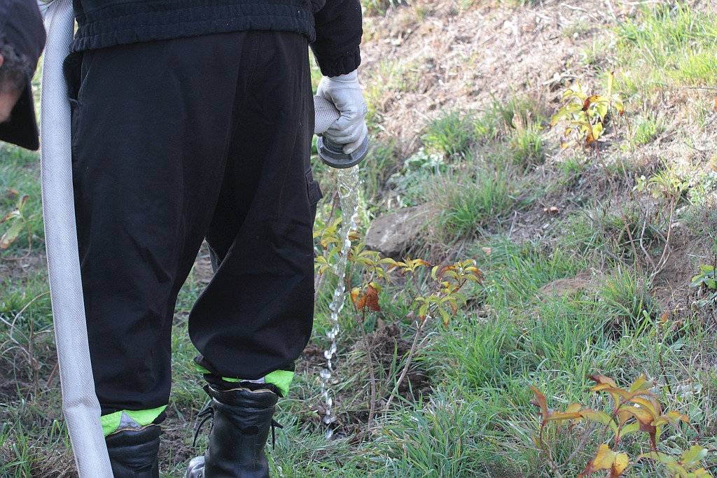 Grzybiany i Ziemnice będą bardziej zadrzewione i zielone