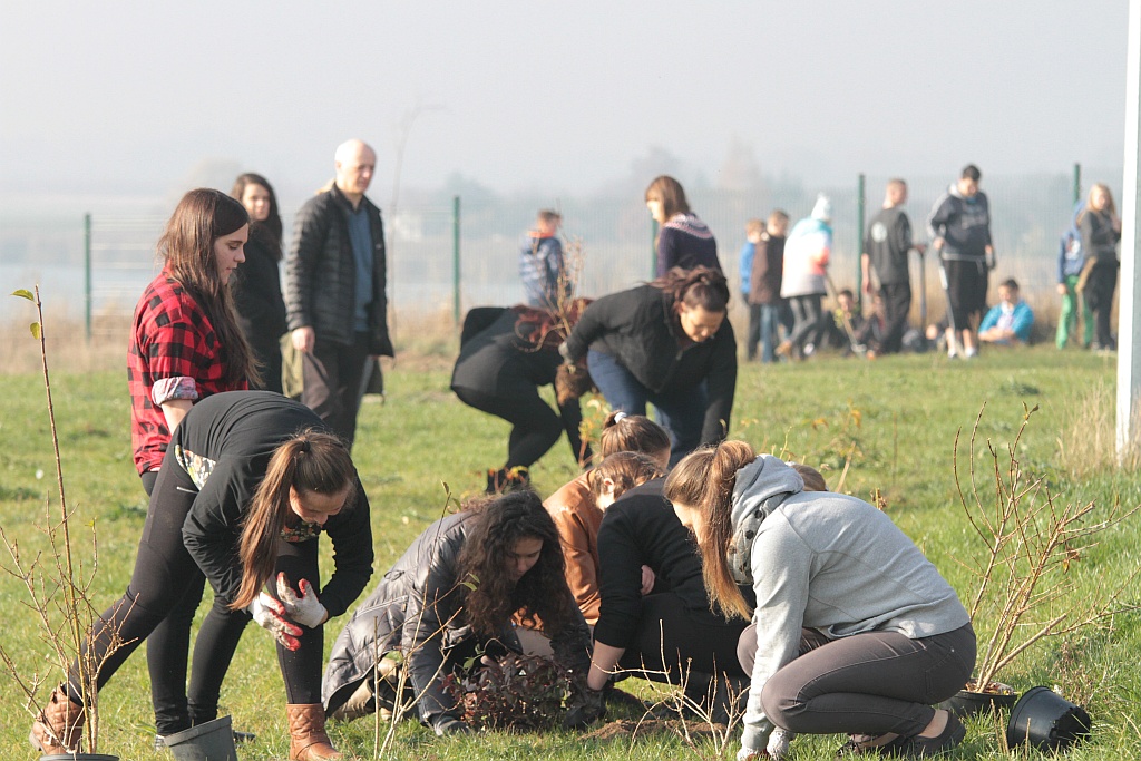Grzybiany i Ziemnice będą bardziej zadrzewione i zielone