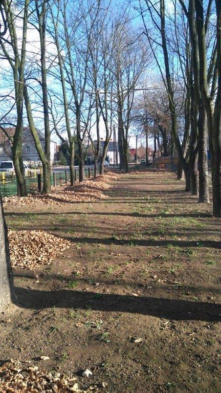 Wielkie sprzątanie czyli Koskowickie Liściobranie i grillowanie