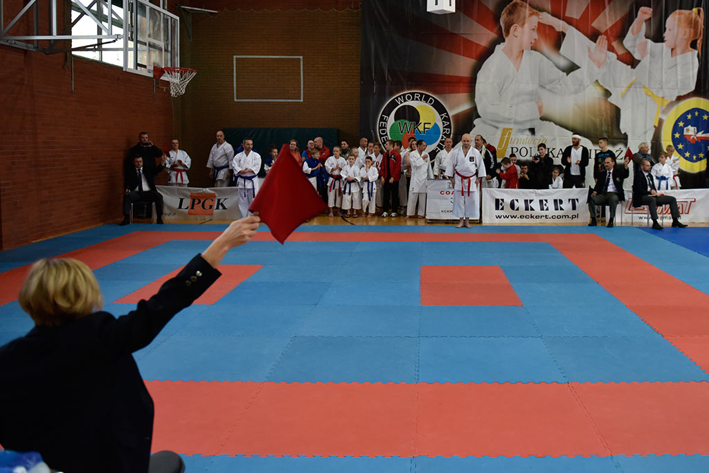 Zmagania karateków w Cuprum Cup – International Karate WKF. Cz.1