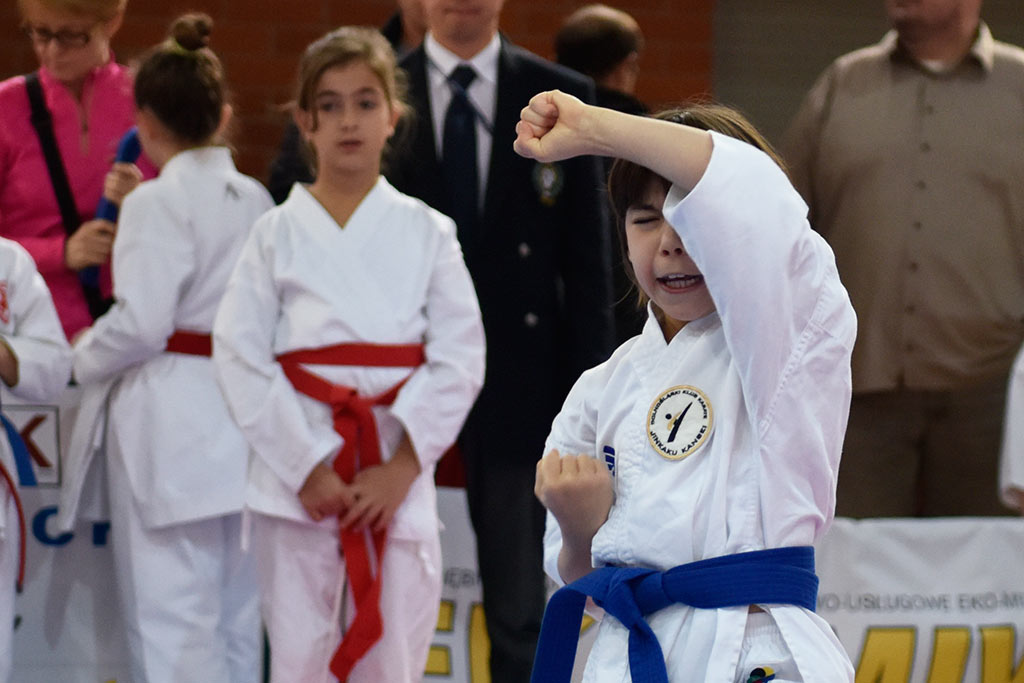 Zmagania karateków w Cuprum Cup – International Karate WKF. Cz.1