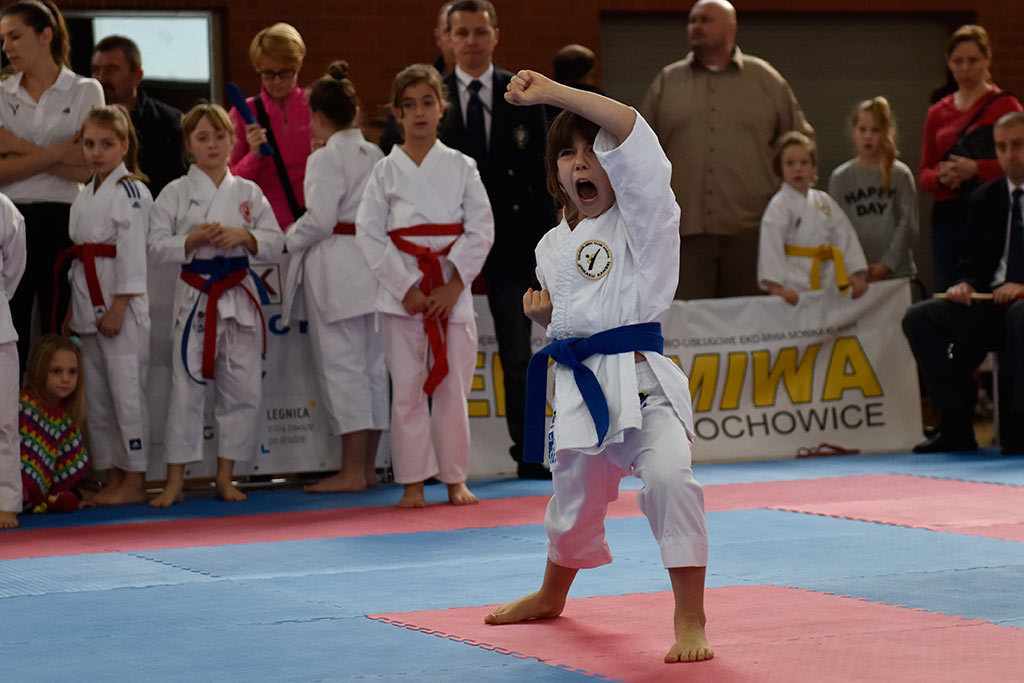 Zmagania karateków w Cuprum Cup – International Karate WKF. Cz.1