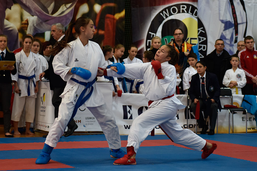Zmagania karateków w Cuprum Cup – International Karate WKF. Cz.1