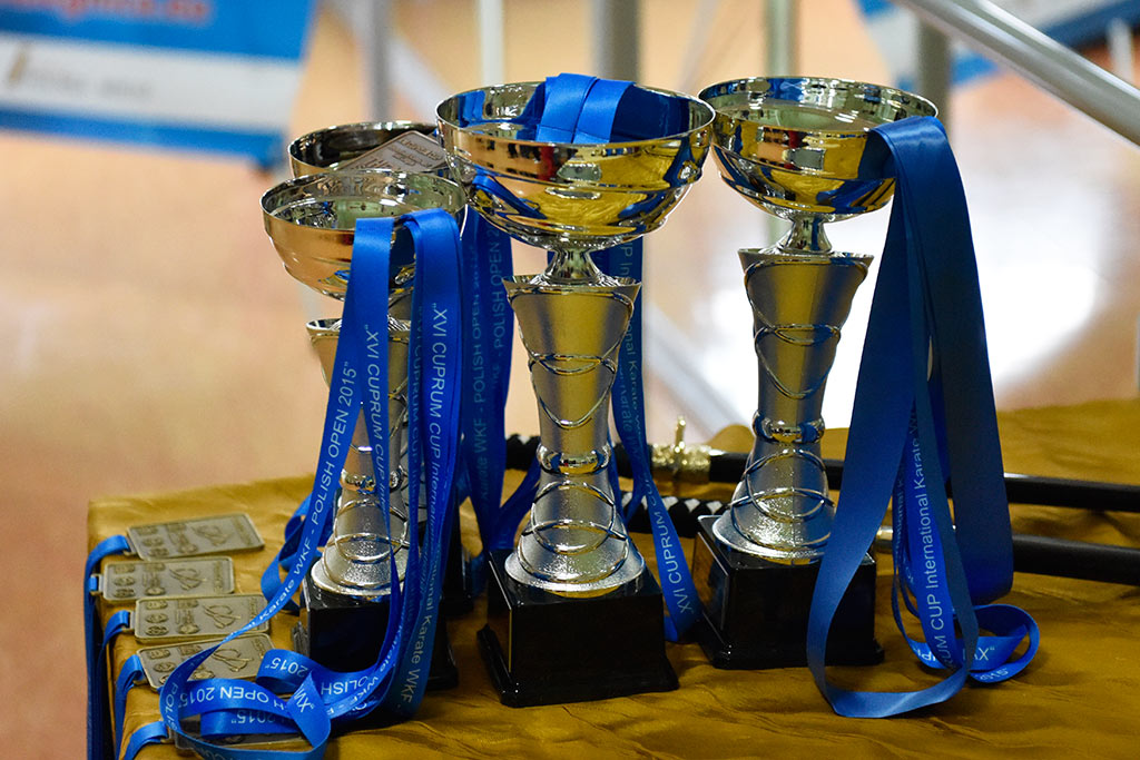 Zmagania karateków w Cuprum Cup – International Karate WKF. Cz.2