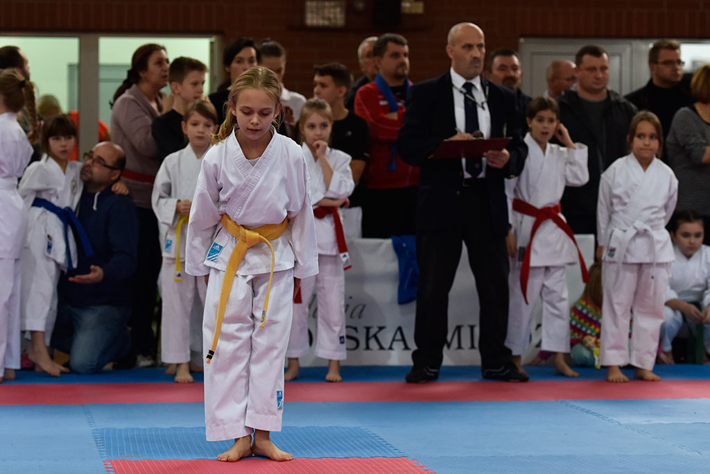 Zmagania karateków w Cuprum Cup – International Karate WKF. Cz.1