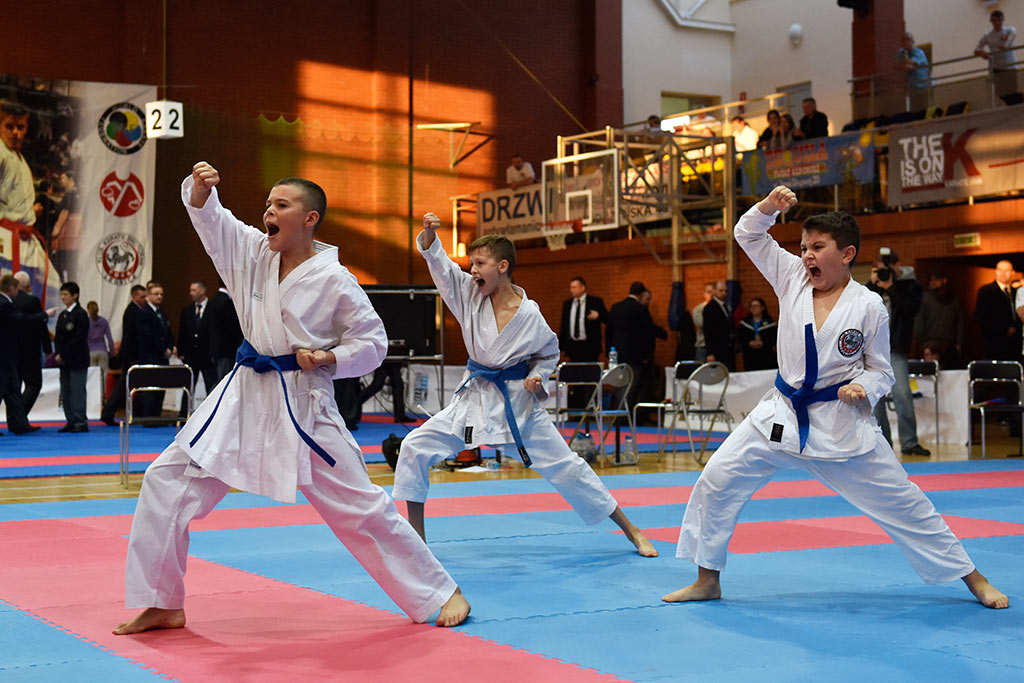 Zmagania karateków w Cuprum Cup – International Karate WKF. Cz.2