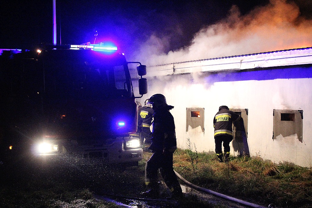 Piętnaście zastępów straży gasi pożar kurnika w Lisowicach