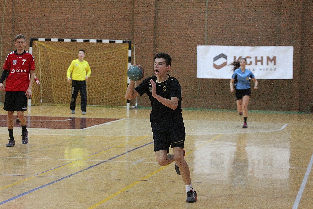 Ostrovia Ostrów Wielkopolski najlepszą drużyną  MHC 2015