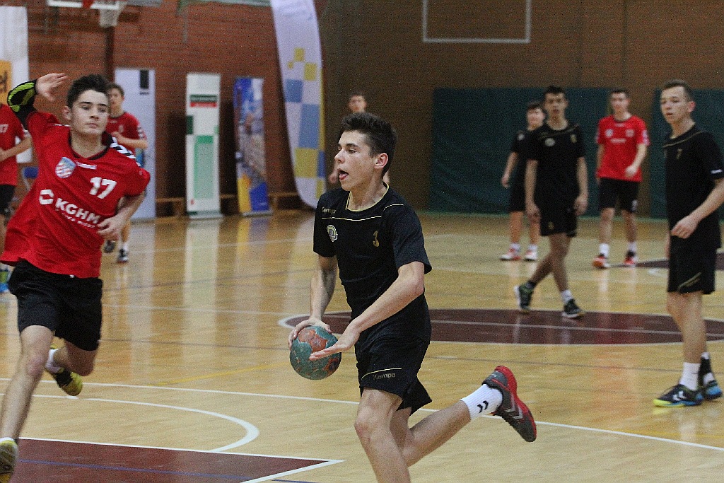 Ostrovia Ostrów Wielkopolski najlepszą drużyną  MHC 2015