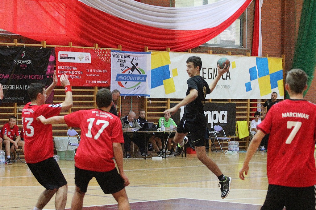 Ostrovia Ostrów Wielkopolski najlepszą drużyną  MHC 2015