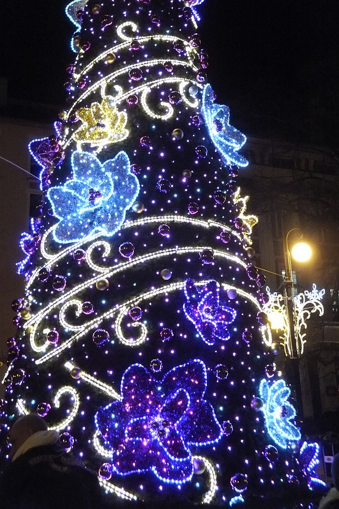 Tłumy legniczan na inauguracji świątecznego oświetlenia