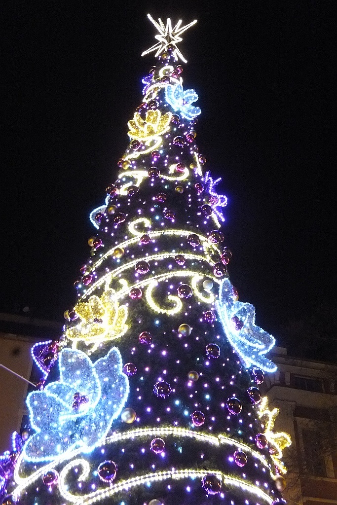 Tłumy legniczan na inauguracji świątecznego oświetlenia