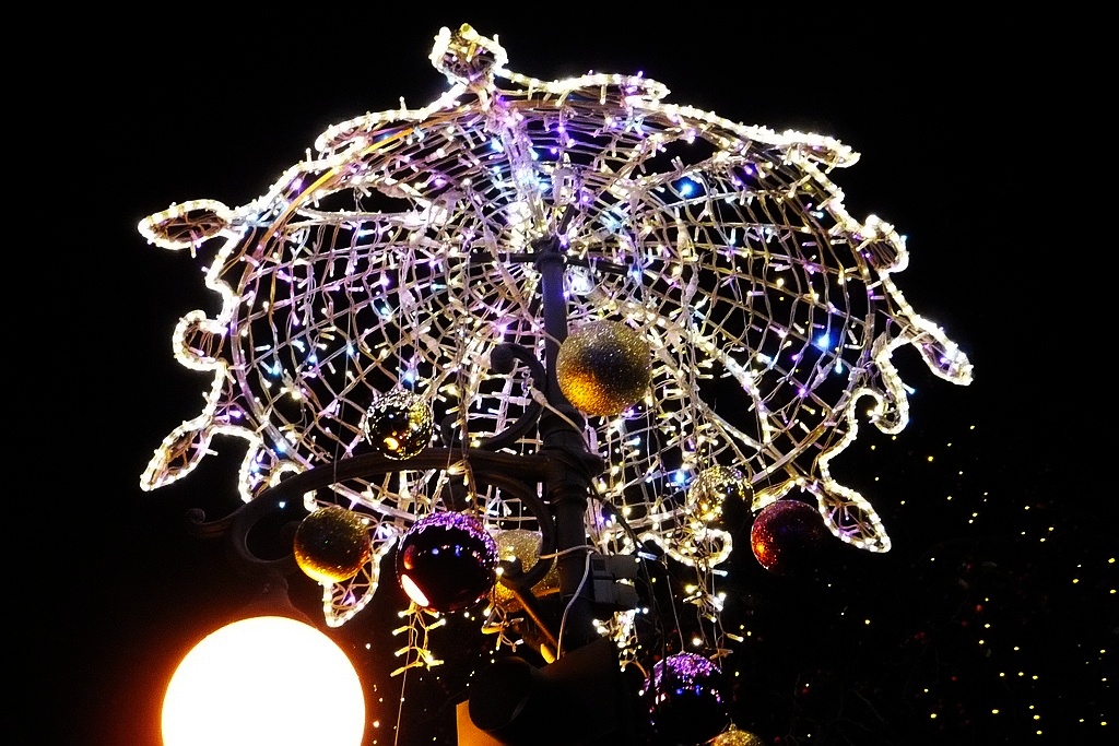 Tłumy legniczan na inauguracji świątecznego oświetlenia