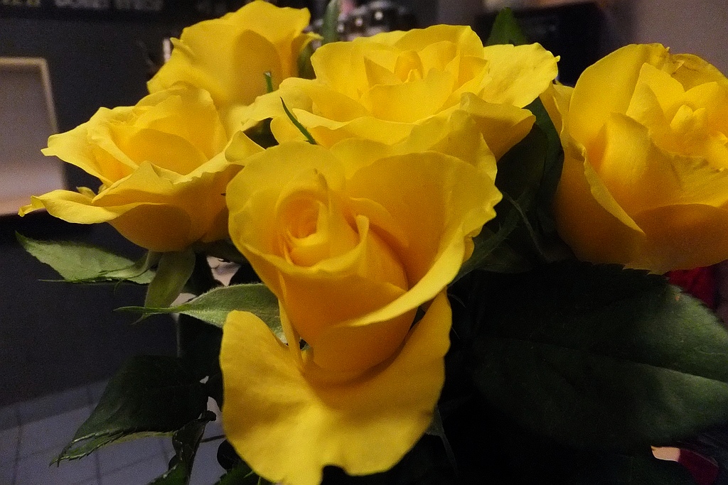 Czarodziejskie Anioły z Jutrzenki cieszą oczy w Schadzce