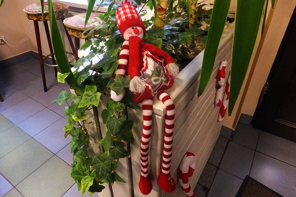 Czarodziejskie Anioły z Jutrzenki cieszą oczy w Schadzce