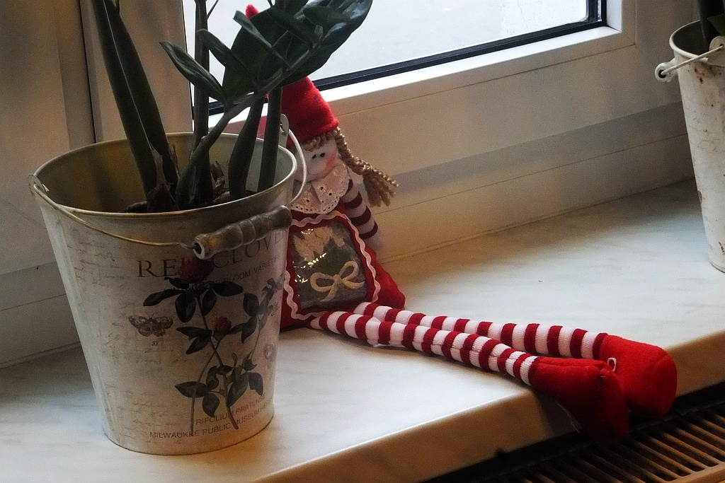 Czarodziejskie Anioły z Jutrzenki cieszą oczy w Schadzce