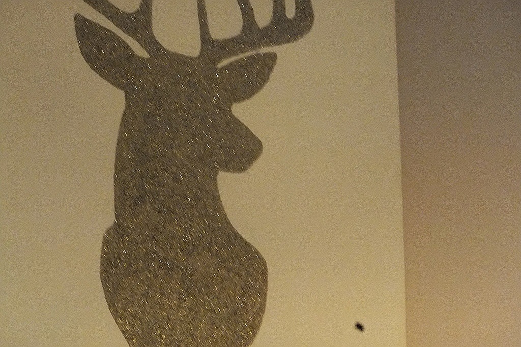 Czarodziejskie Anioły z Jutrzenki cieszą oczy w Schadzce