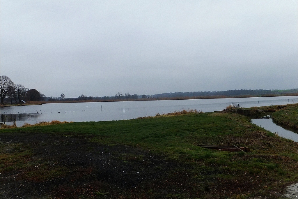 W gospodarstwie rybackim w Niedźwiedzicach gotowi do świąt