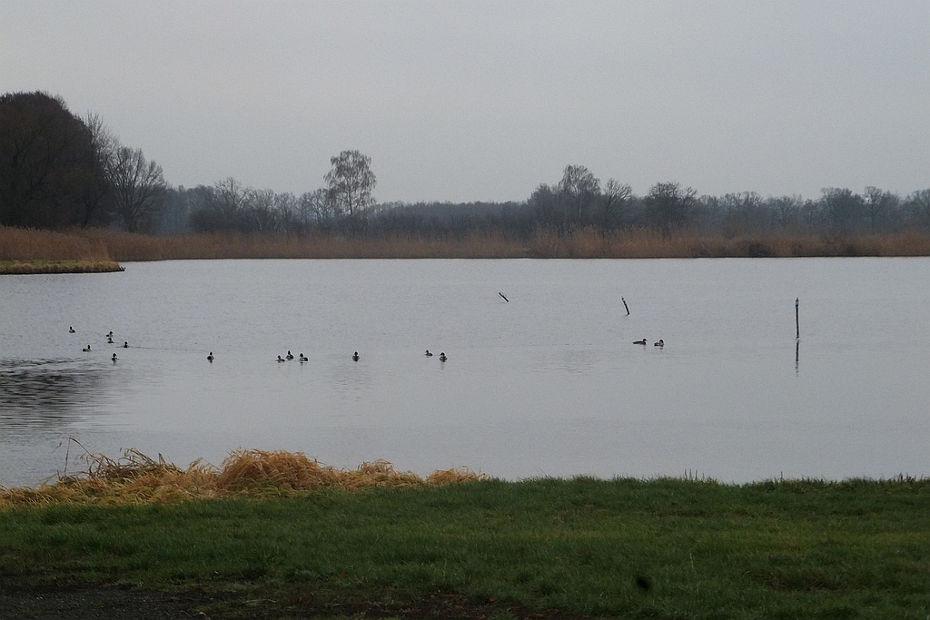 W gospodarstwie rybackim w Niedźwiedzicach gotowi do świąt