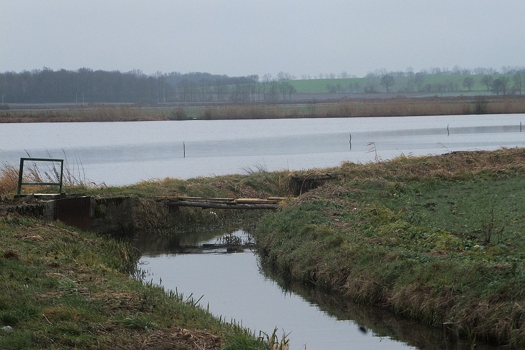 W gospodarstwie rybackim w Niedźwiedzicach gotowi do świąt